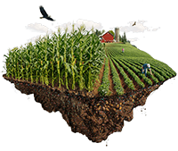 Полные программы экологического земледелия